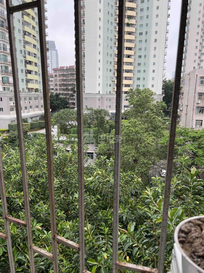 沙河荔园新村12075914周边环境图11