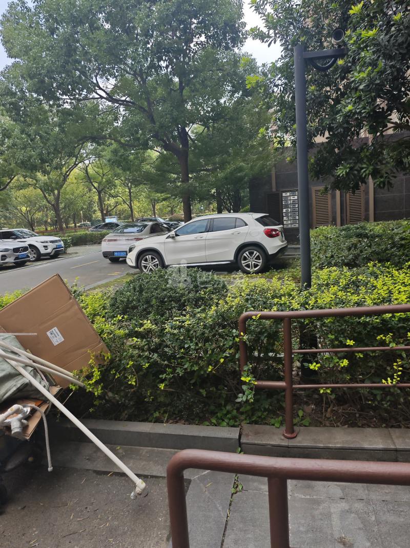 阳光花城12093048周边环境图8