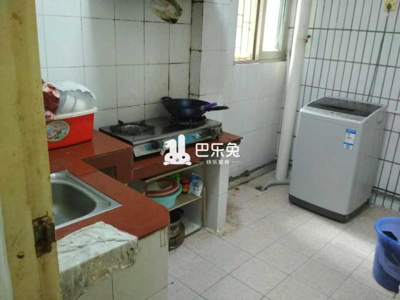 深圳福田_椰树花园_1室0厅0卫_合租朝南_