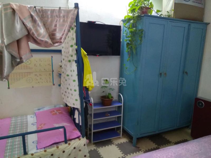 曙光新村小区12114367周边环境图7