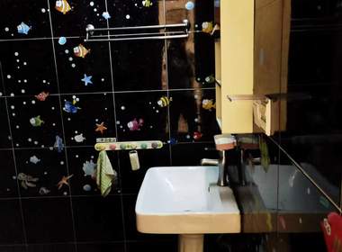 世纪之星 1室1厅1卫