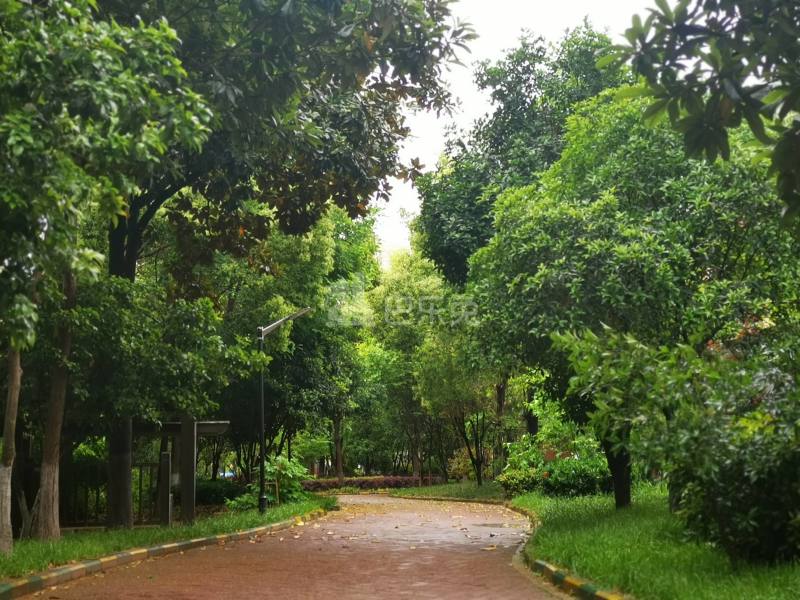 雍景园小区12179909周边环境图8