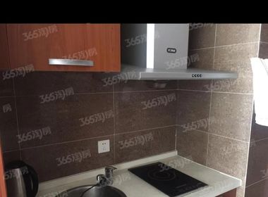 金陵大公馆 1室1厅1卫