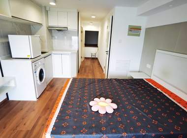 龙湖新壹城 1室1厅1卫