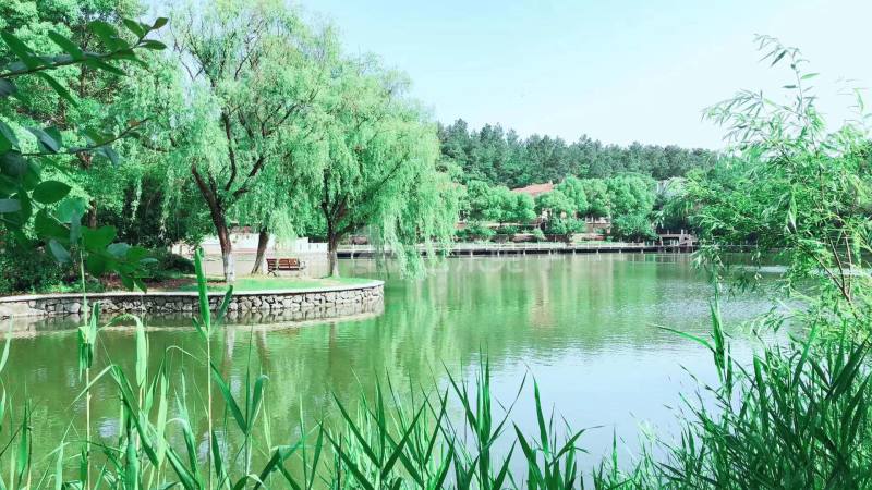 香山美墅12299892周边环境图0