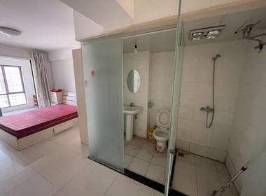 丽都嘉园 1室1厅1卫