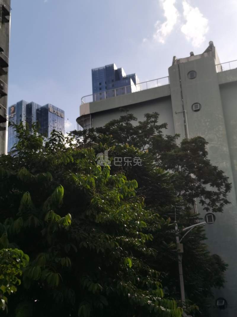 南油B区34栋12319958周边环境图7