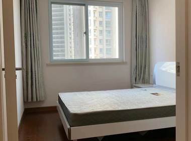 中南世纪雅苑 3室2厅1卫