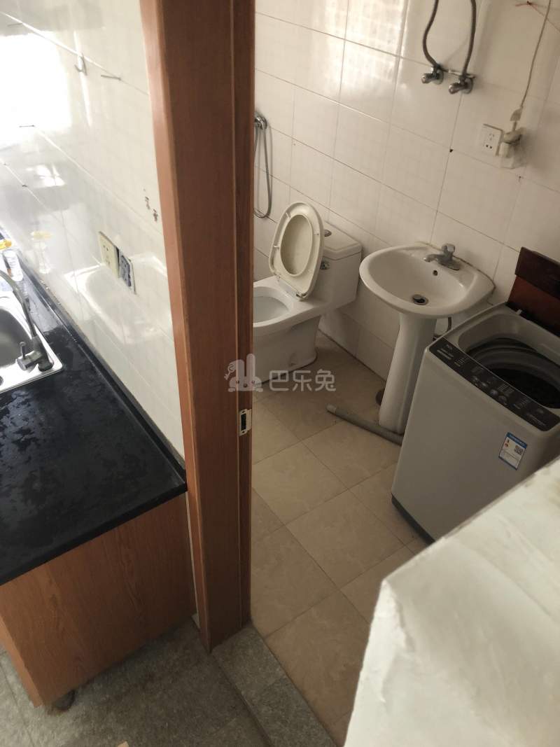 成元路270号（民房）12346292周边环境图18