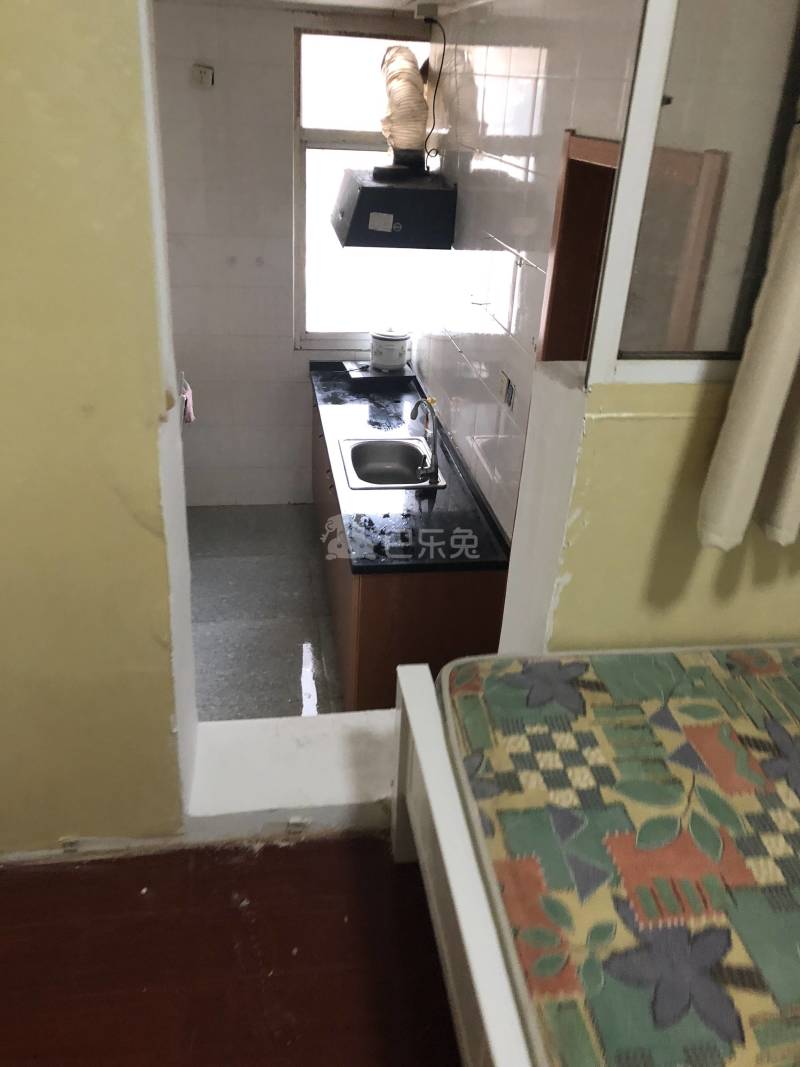 成元路270号（民房）12346292周边环境图4