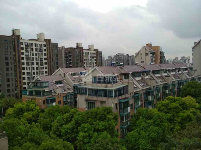 滨江雅苑14701784周边环境图18