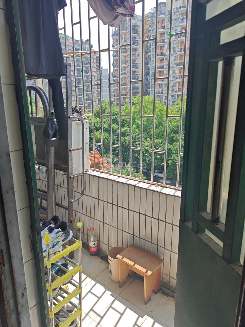 大新村27号12393130客厅图5