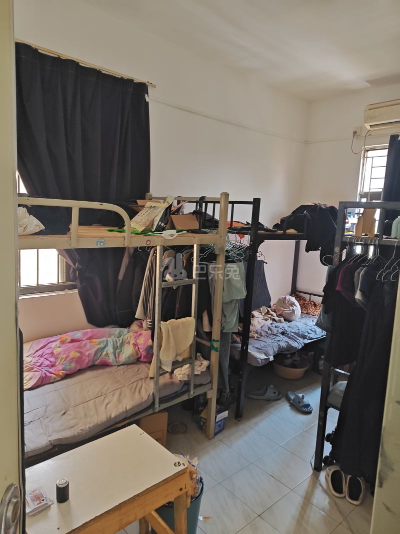 大新村27号12393130卧室图0