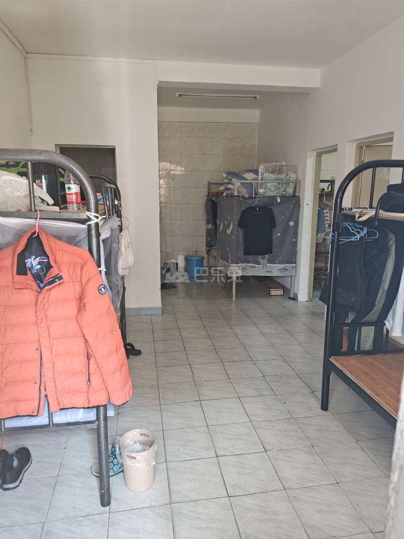 大新村27号12393130客厅图4