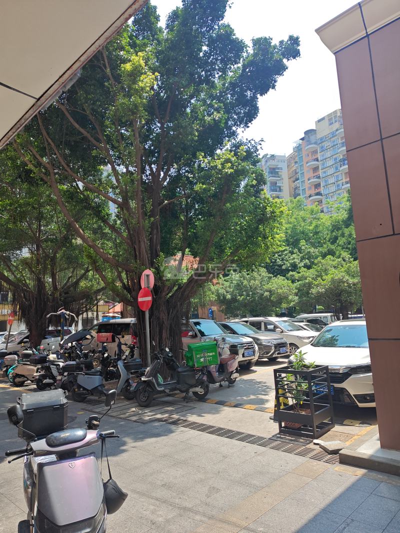 大新村27号12393130周边环境图8