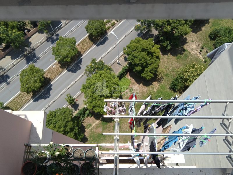 高盛家园12399737周边环境图10