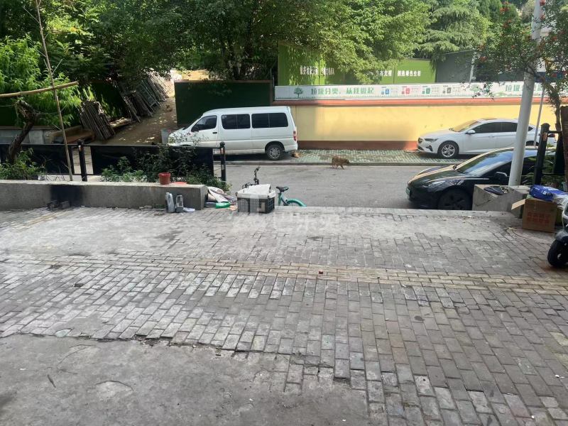 幕府佳园12413201周边环境图9