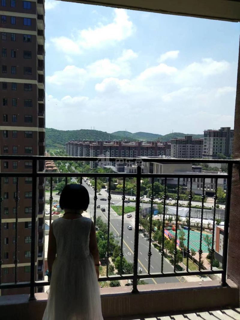 金地湖城艺境12413301周边环境图0