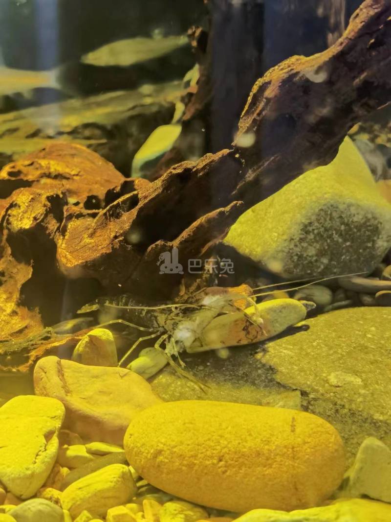 水沐云筑（淮安水利桥林新城G30地块）12414298周边环境图4