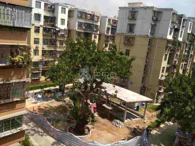 金众小区4188436周边环境图9