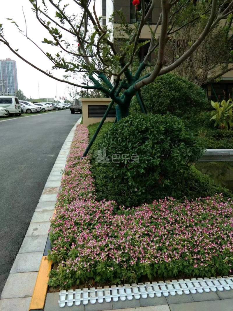 保利朗诗蔚蓝12427584周边环境图2