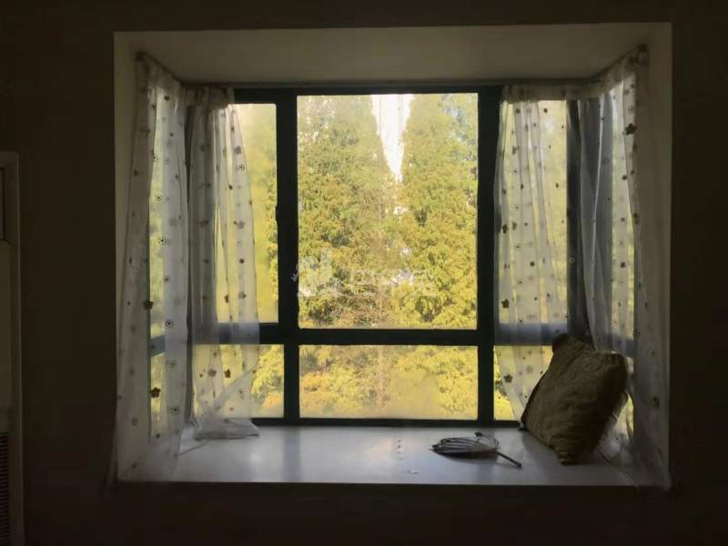 东郊美树苑12475097周边环境图5