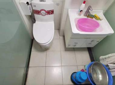 丽都嘉园 1室1厅1卫