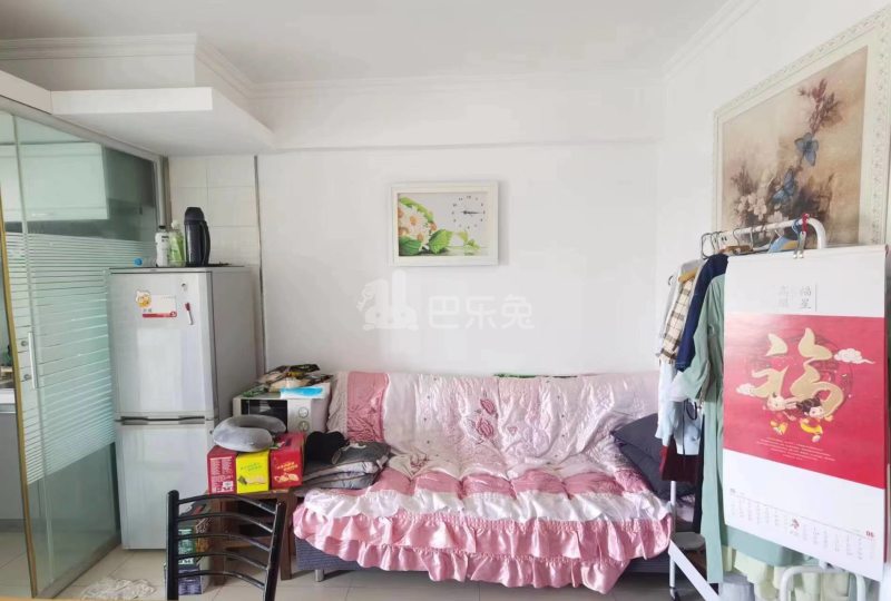 丽都嘉园12499640周边环境图3