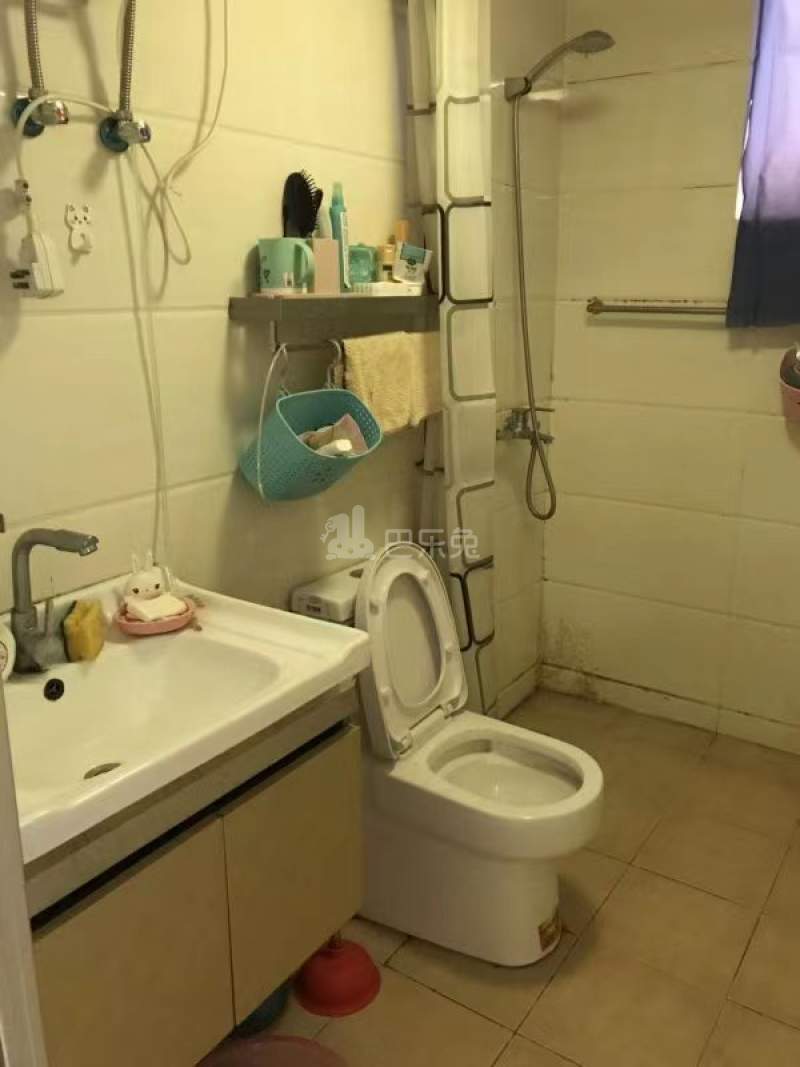 科巷新寓12528444周边环境图6