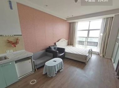 紫鑫国际公寓（小区） 1室0厅0卫