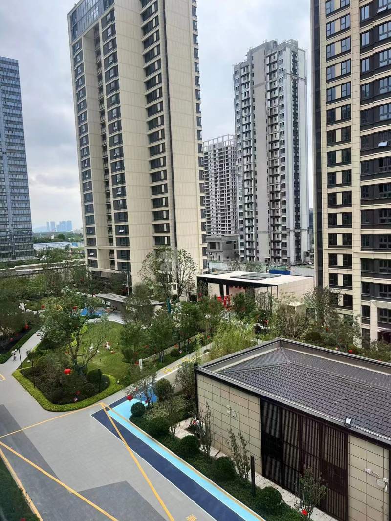 大华云江印月花园12589097周边环境图17