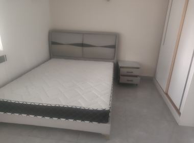 新春村东王家宅 