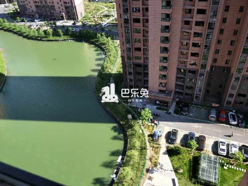上海嘉定_蔷薇苑_1室0厅0卫_合租朝南_红石路915弄1