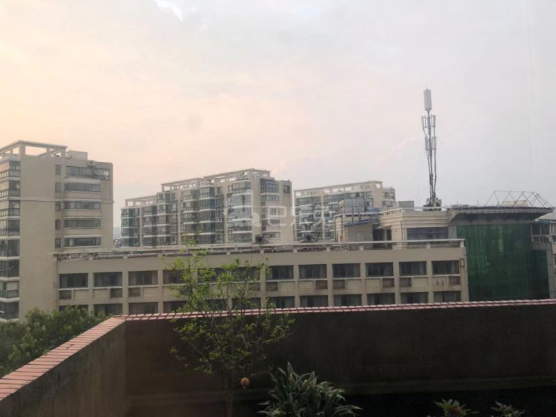 中南园12671384周边环境图1