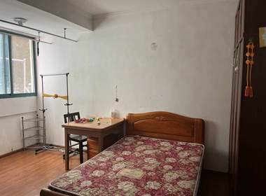 瞻园路小区 2室0厅0卫