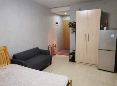 城开国际 1室0厅0卫