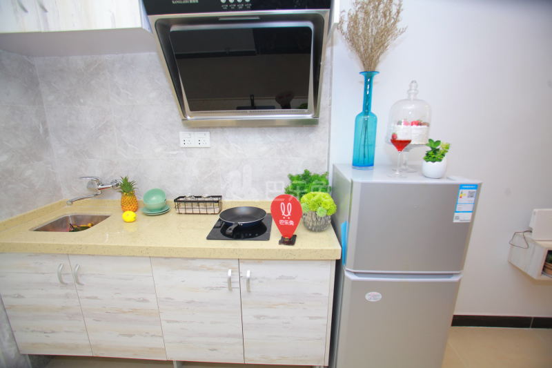 庭苑公寓1290507厨房图10