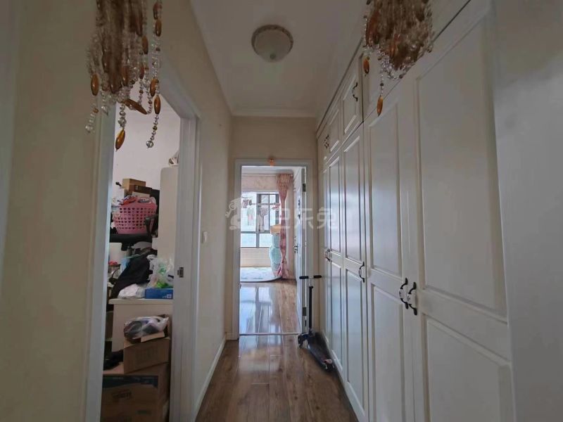 观城国际12947848周边环境图7