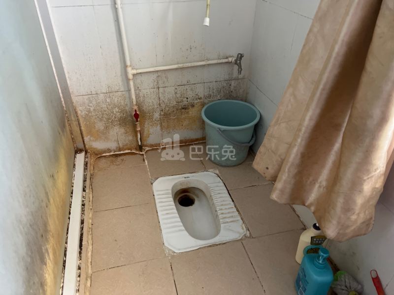 南油生活A区1303695卫生间图5