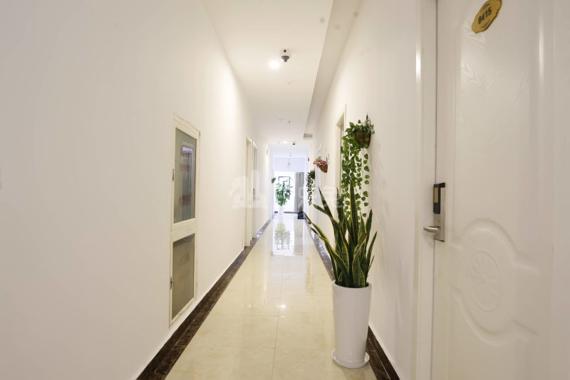 美遇公寓1311880周边环境图21