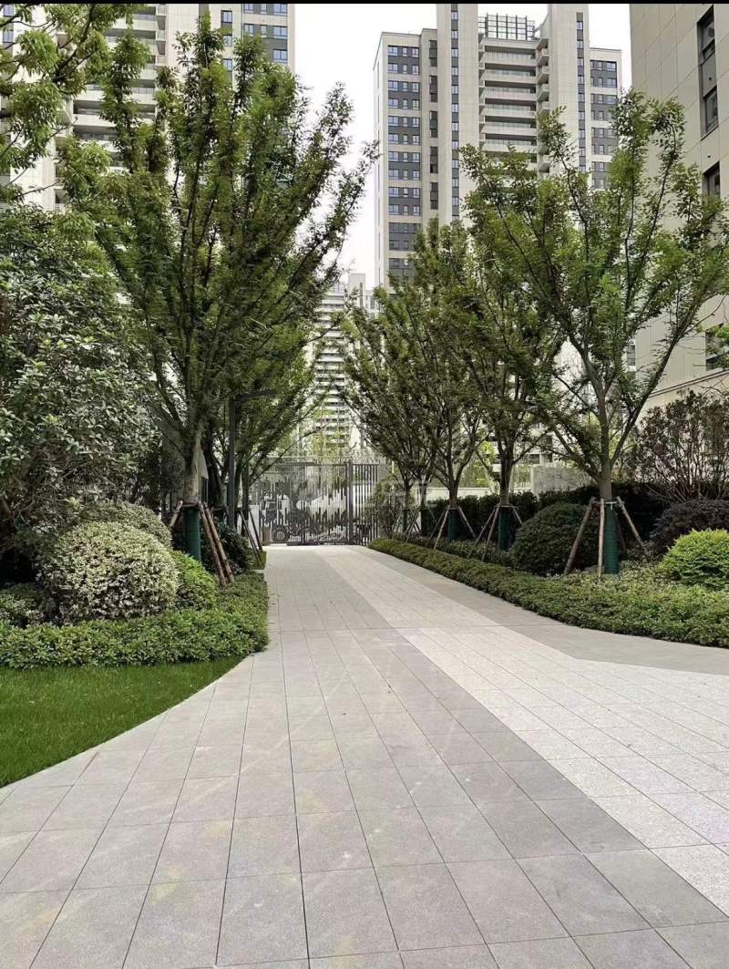 仁恒城市星光13126699周边环境图4