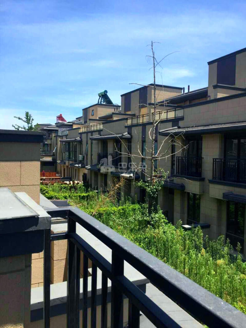 上海院子9419837周边环境图6