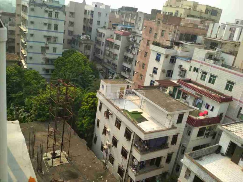 南头古城14356732周边环境图7