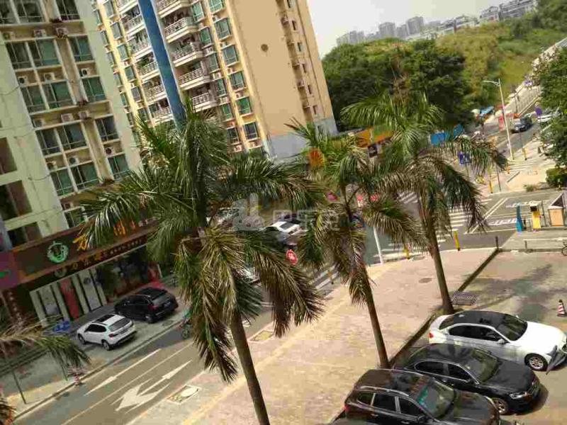 文雅豪庭（公寓）1317981周边环境图11