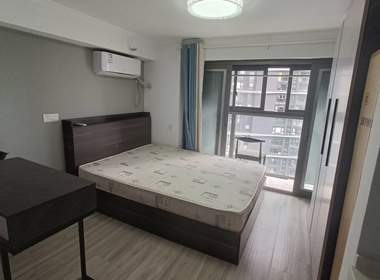 龙湖北宸星座 1室1厅1卫