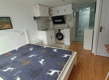 龙湖北宸星座 1室1厅1卫