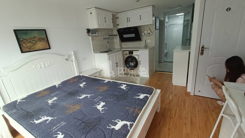 龙湖北宸星座13321842周边环境图8