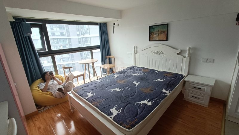 龙湖北宸星座13321842周边环境图3