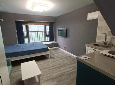 龙湖北宸星座 1室1厅1卫