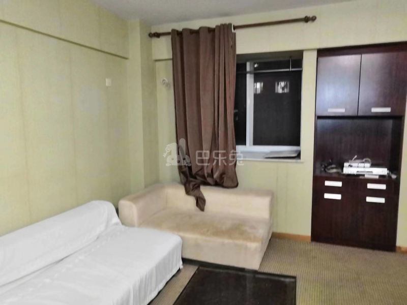 托乐嘉单身公寓13331539周边环境图3